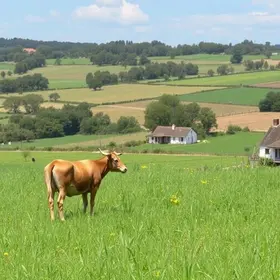 Day Use na Fazenda Três Leões