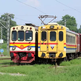 carretas de capacitação
